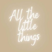 image for All The Little Things