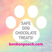 image for Bonbon Pooch