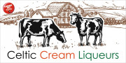 image for Celtic Artisan Spirits