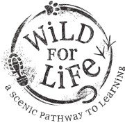 image for Wild For Life